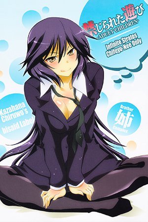 Infinite Stratos - Chifuyu-Nee Only: Forbidden Game (Doujinshi)