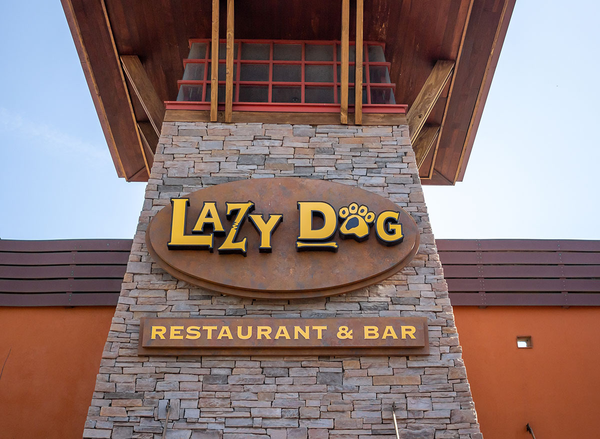 lazy dog restaurant and bar