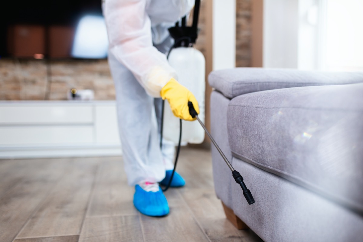 exterminator spraying gray sofa