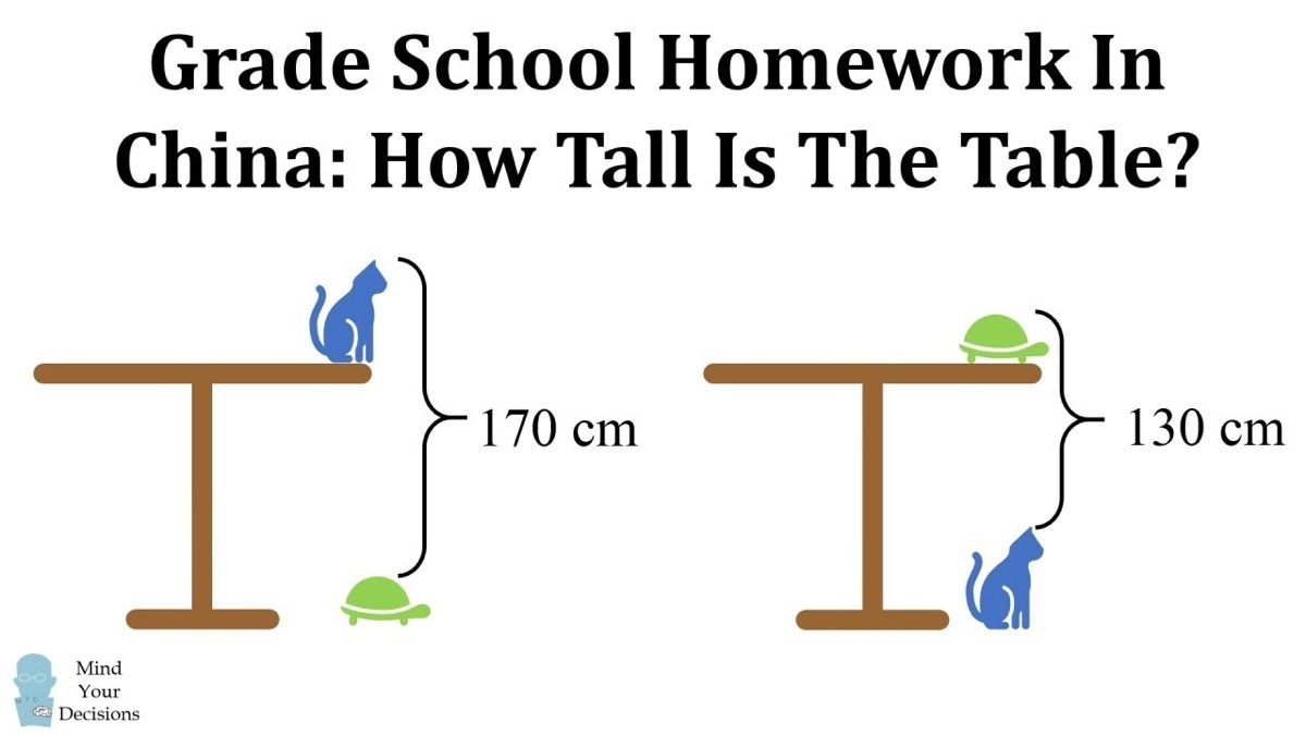 Table Cat Turtle Math Problem {Tricky Math Questions}