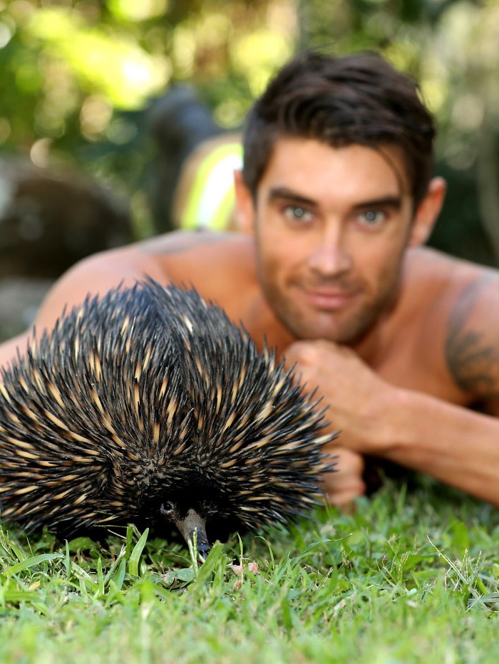 Rast calendars pics | Hot Aussie Firefighters and Animals In 2020 Charity Calendar Melt Our Hearts | Her beauty