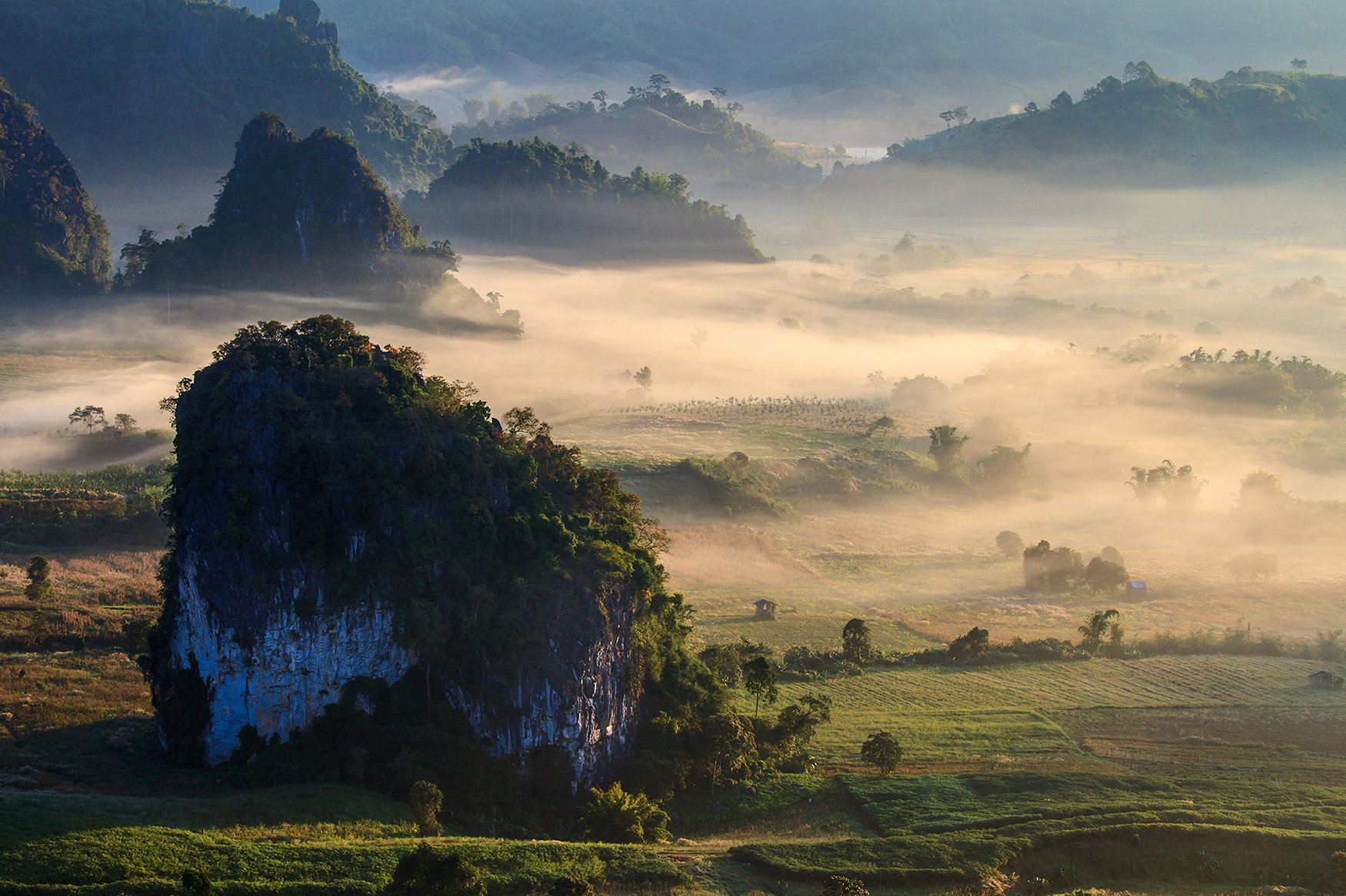 phu langka forest Thailand