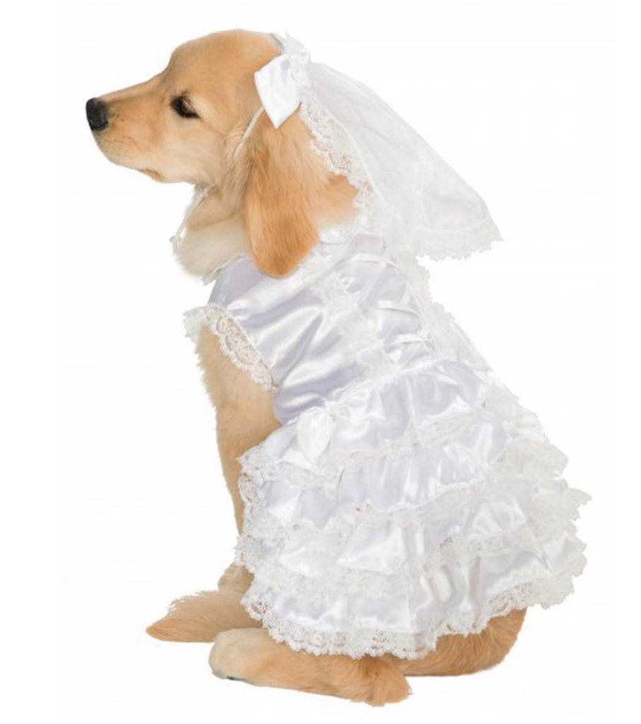 Rubie's Bride Dog Costume adorable dog outfits