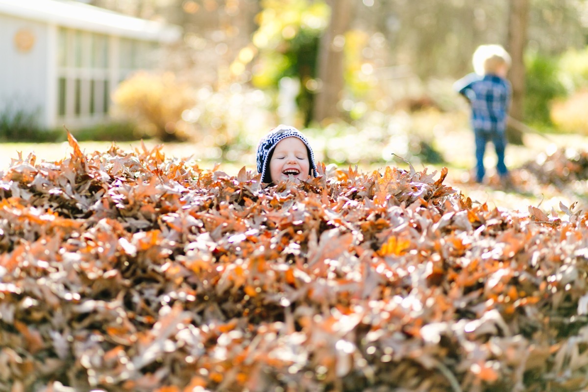 toddler jumping in pile of leaves in fall