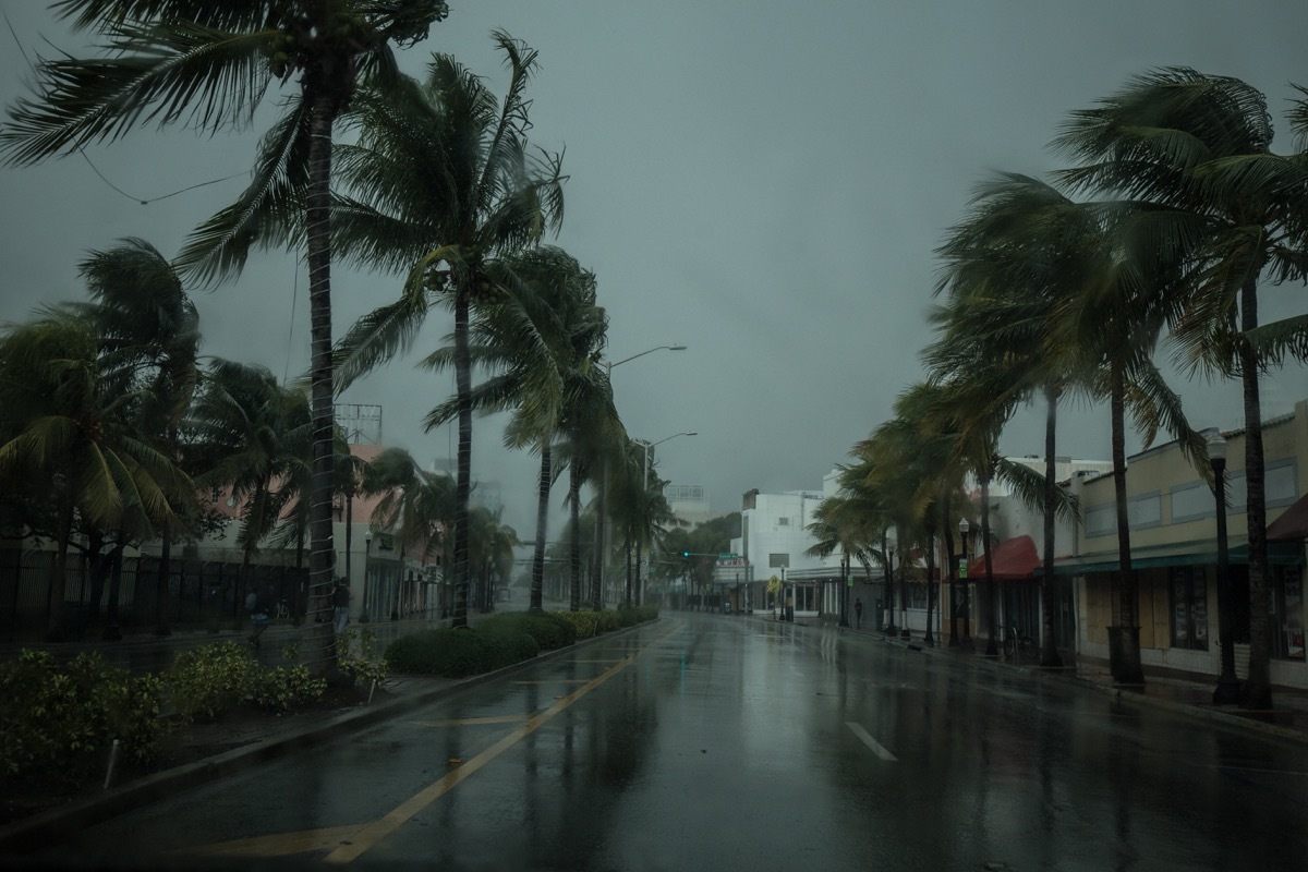 florida hurricane irma