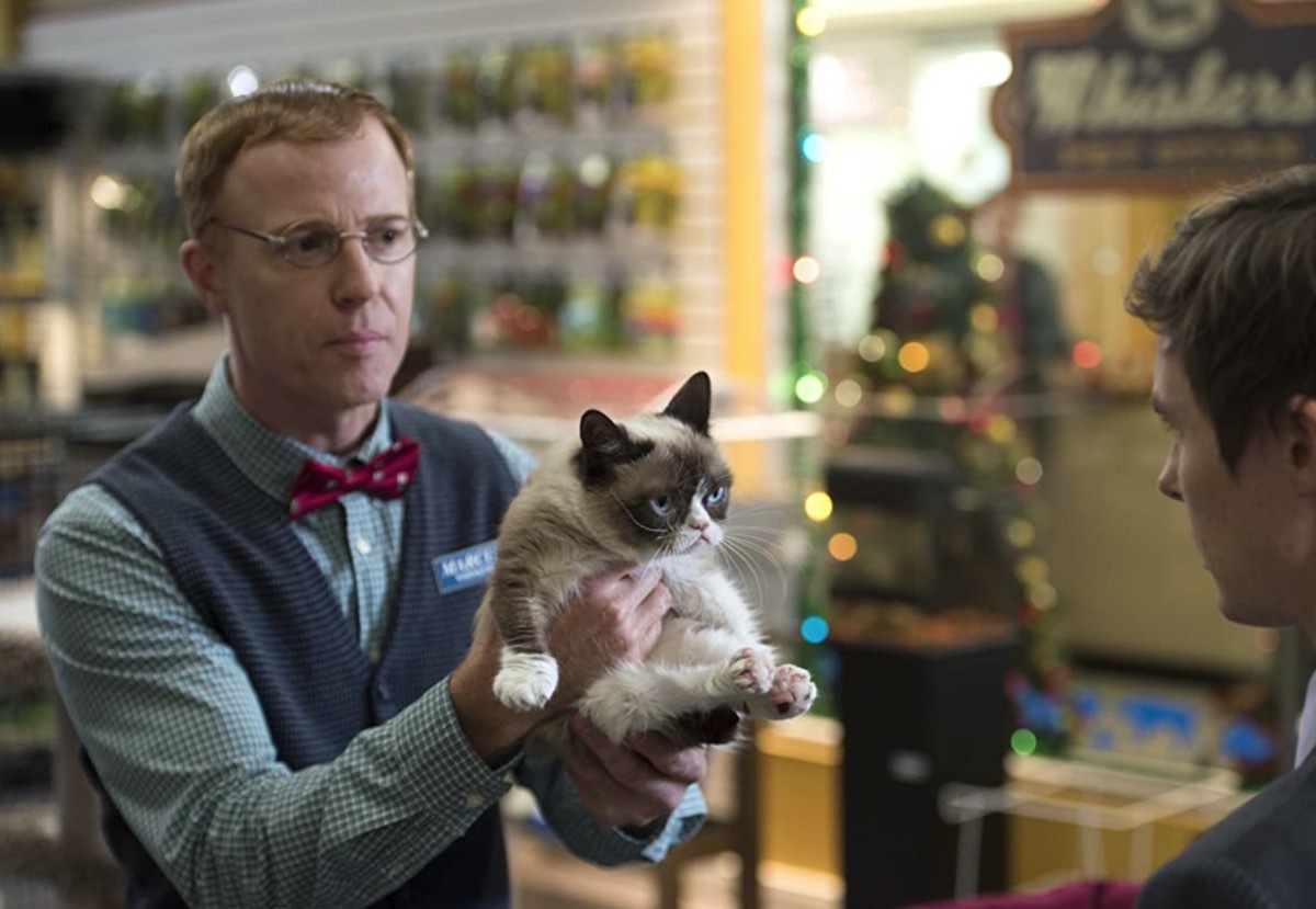 man holding grumpy cat movie still