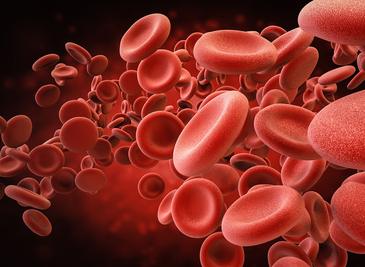 red blood cells