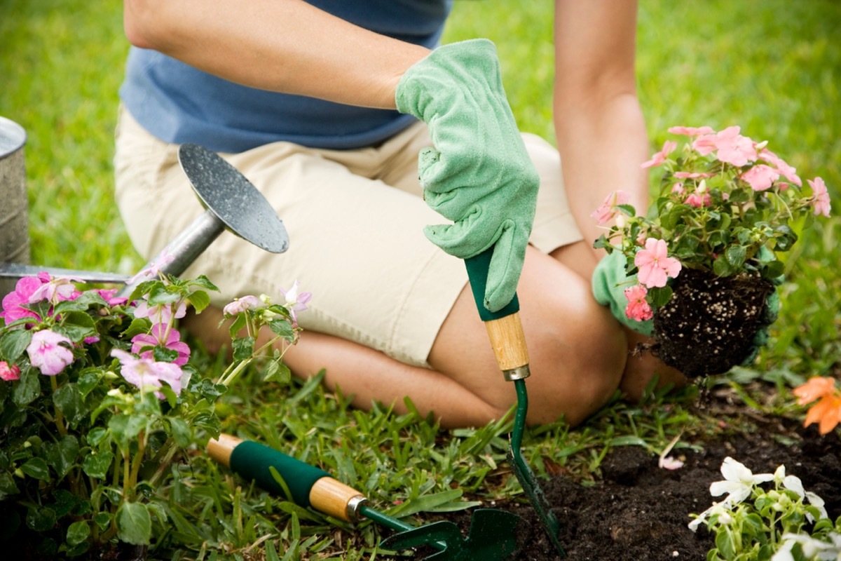 woman gardening