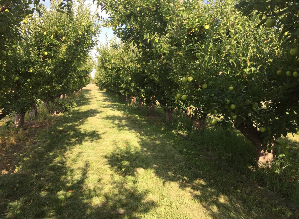 kelley orchards idaho