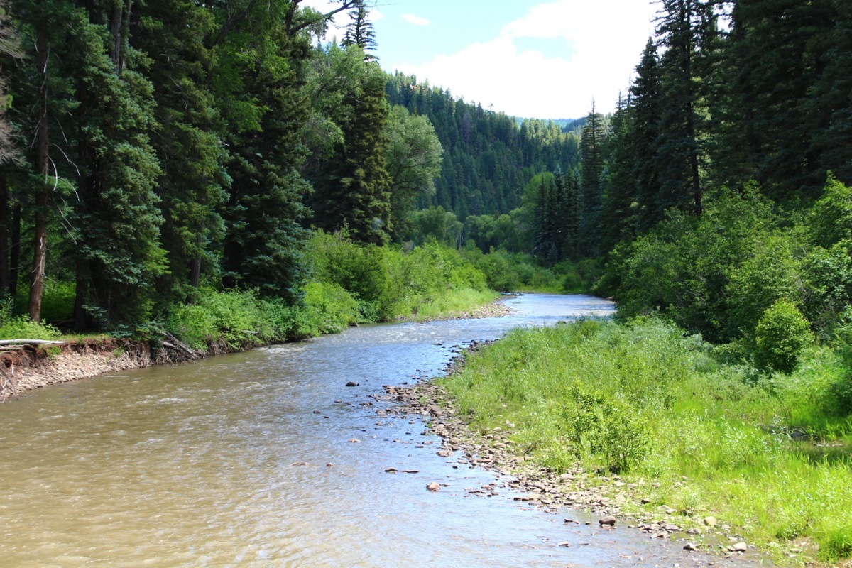 Dolores River in Colorado