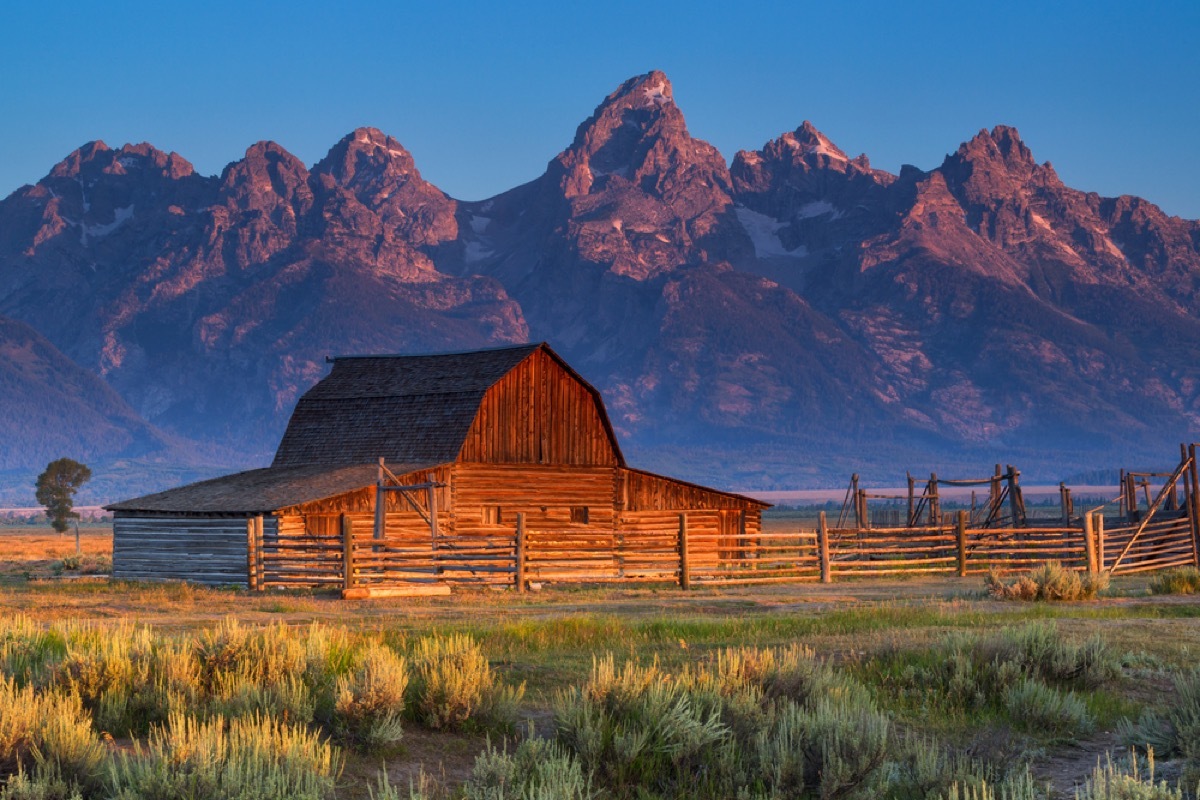 moulton barn at the grand teton national park in wyoming