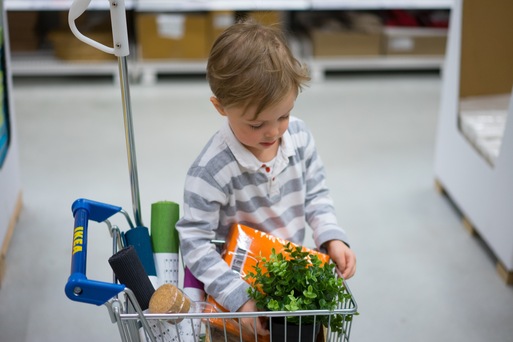 Kid in Ikea Surprising Facts about Ikea