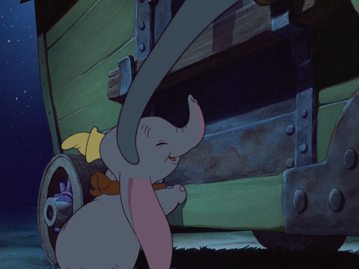 dumbo