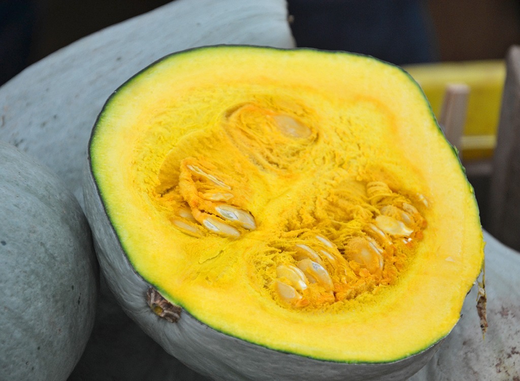 Hubbard Squash