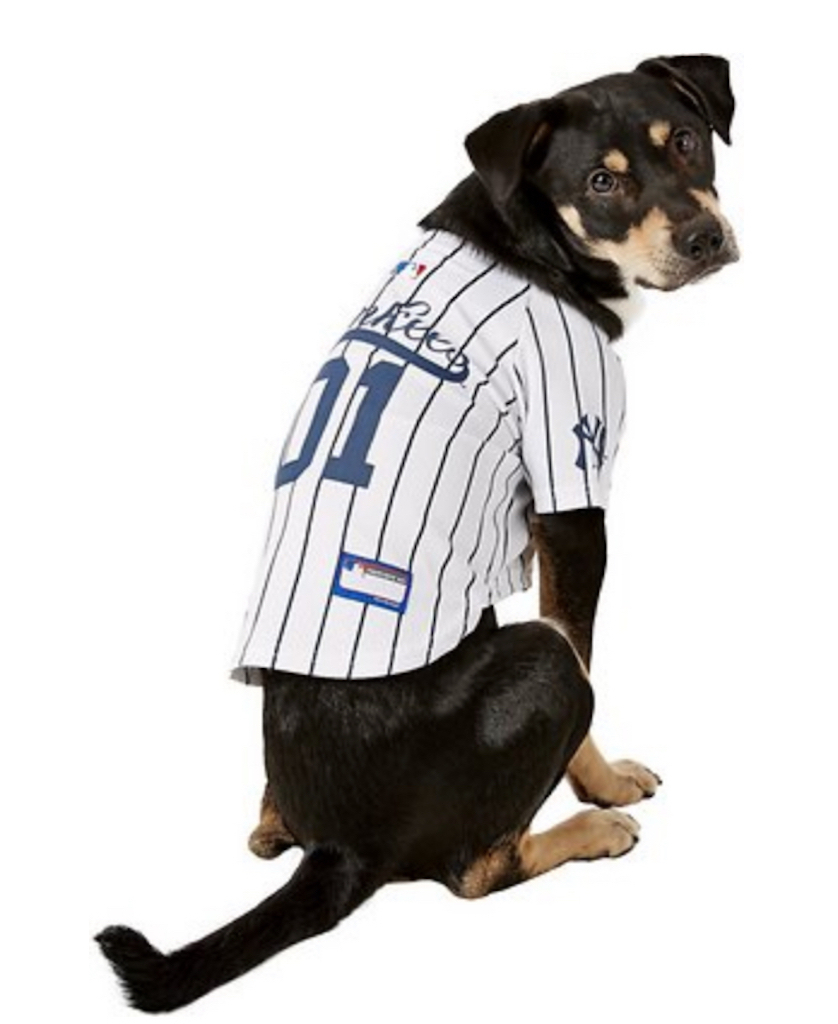 New York Yankees Dog Costume adorable dog outfits