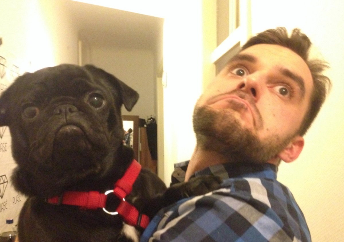 man and pug strike the same pose dogs who look like their owners