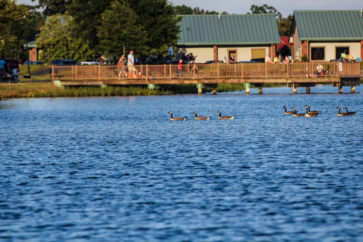 Maumelle Arkansas