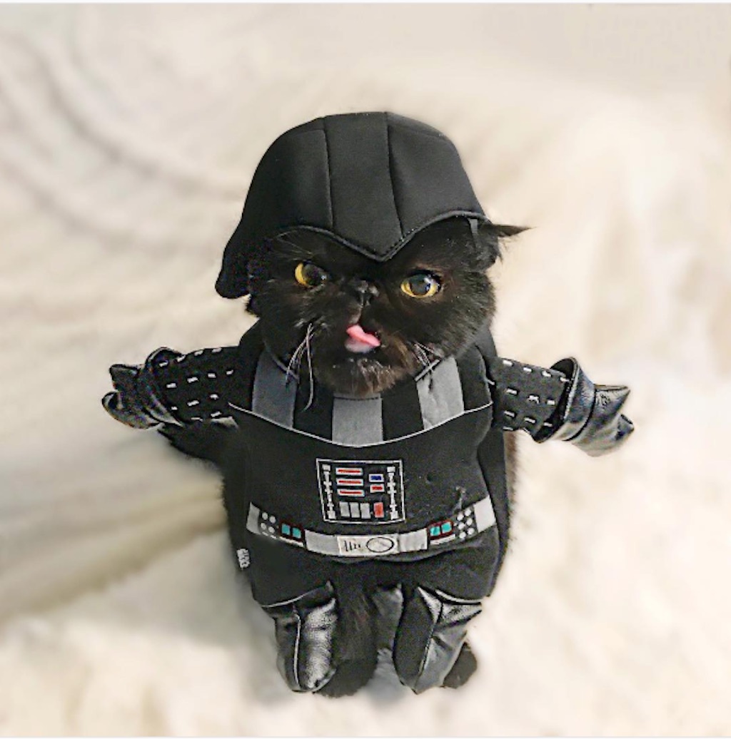 darth vader cat