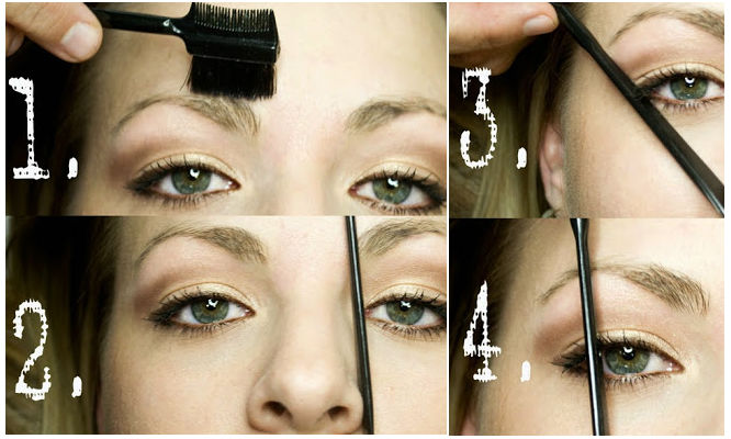 Guide to the Perfect Eyebrows