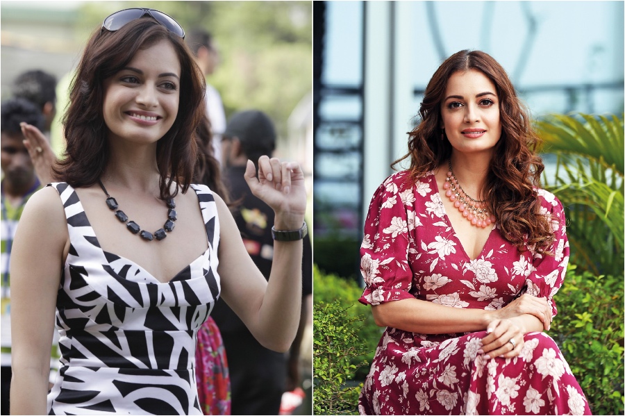 Dia Mirza | Her Beauty