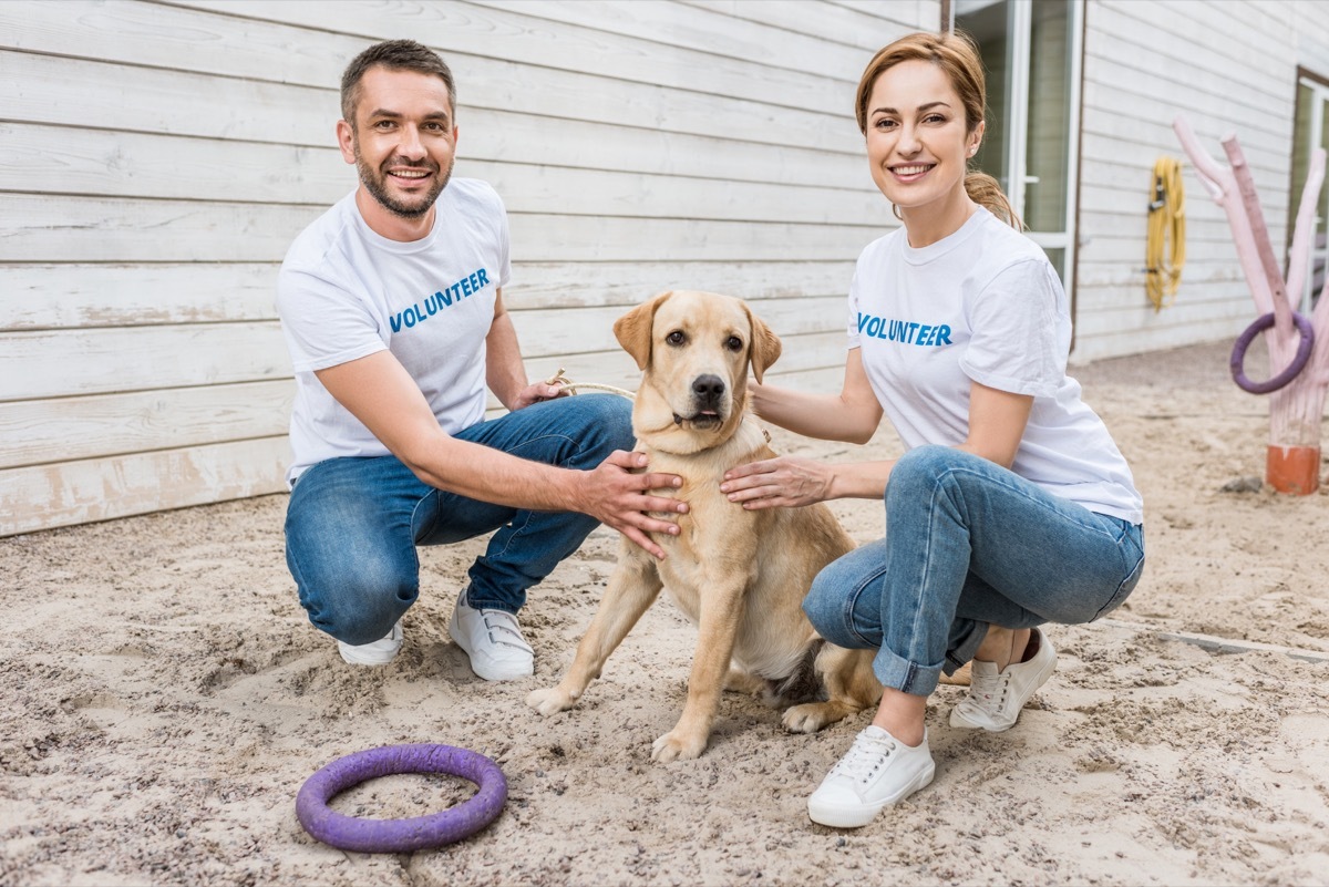 Volunteers helping a dog at a shelter adoption event