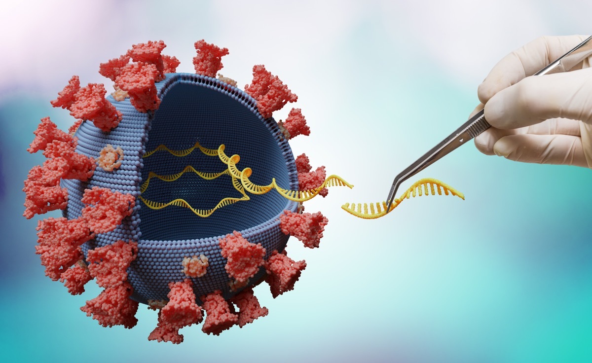 Gloved hand with RNA