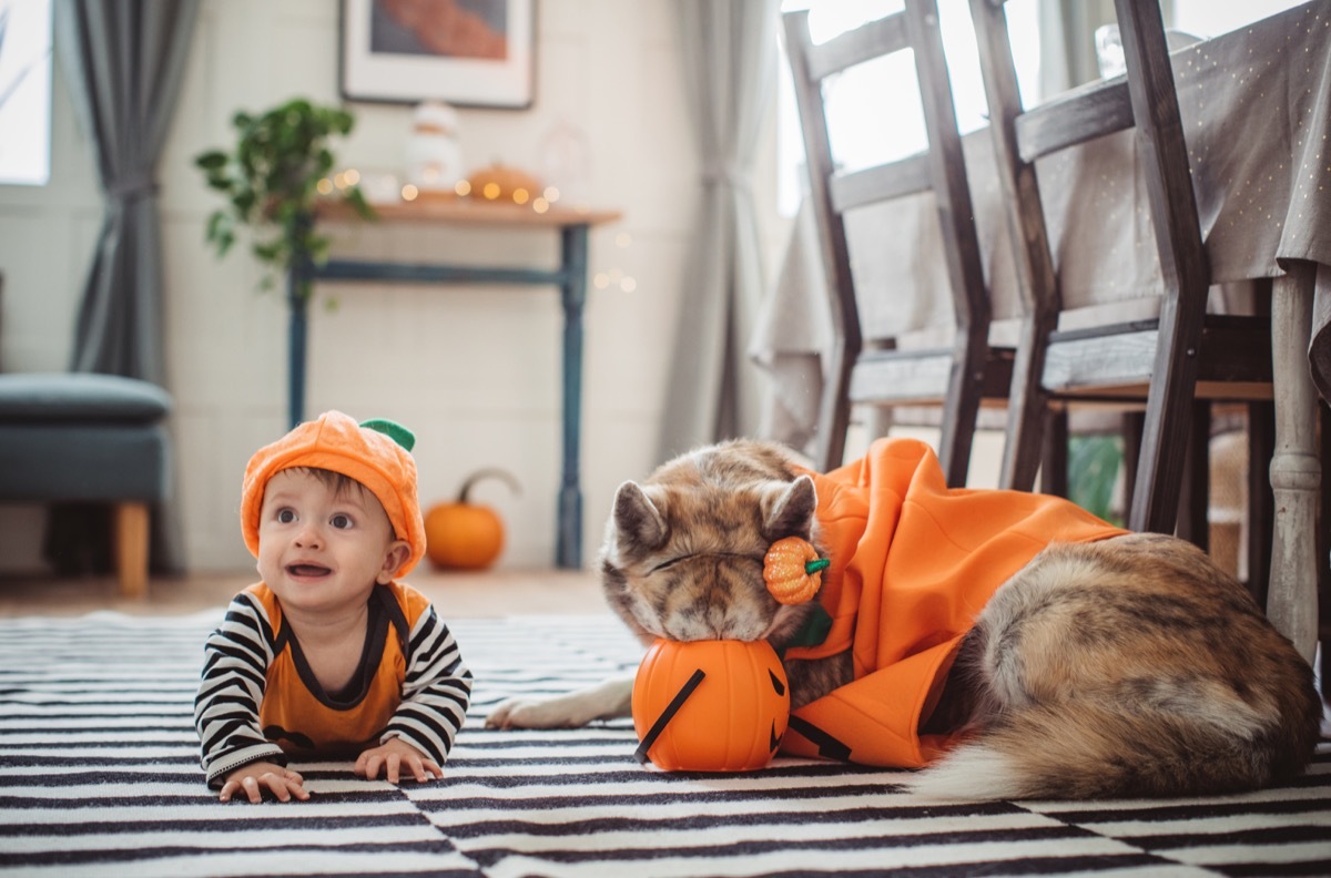 Baby and dog dressed as pumpkins for halloween