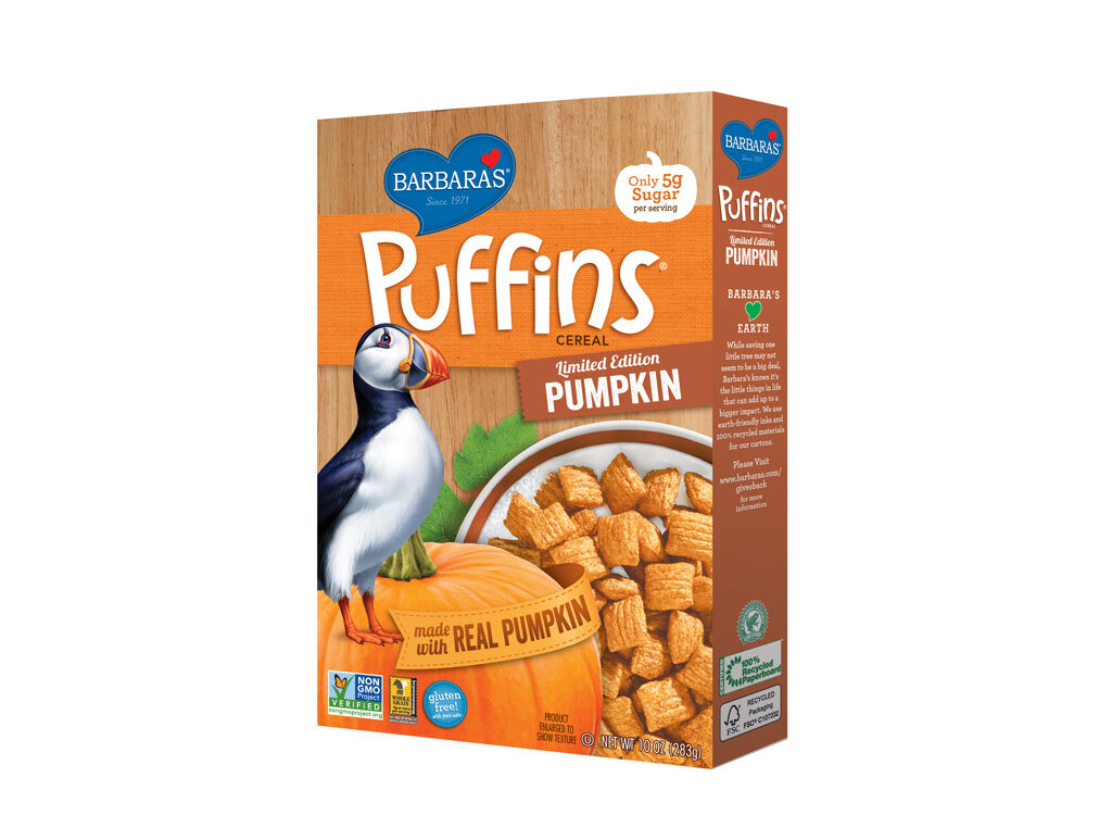 Barbara pumpkin Puffins