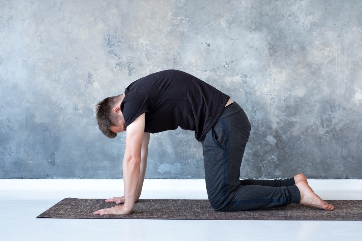 Young yogi men practices yoga asana bitilasana or cat cow pose in urban studio.