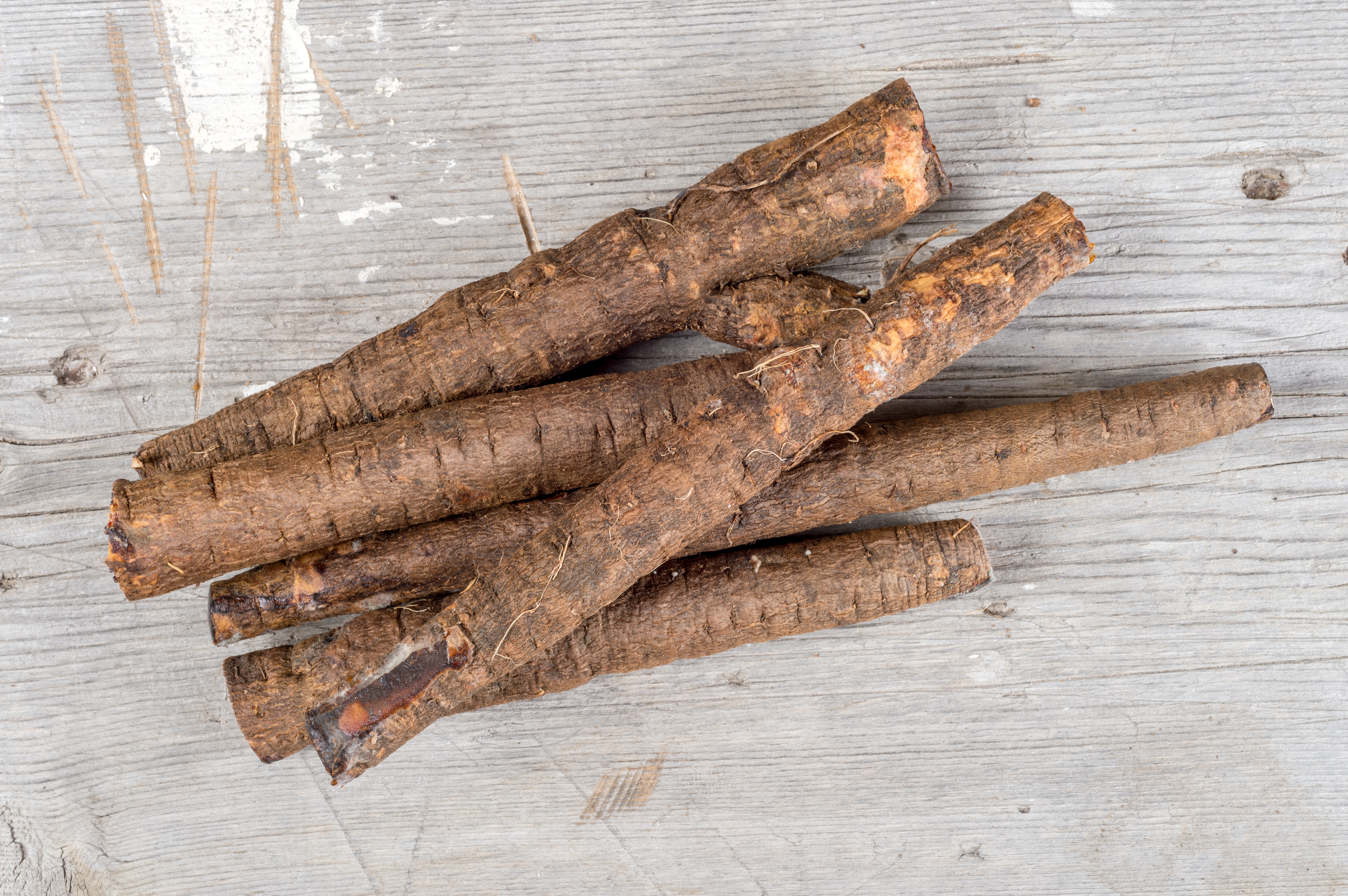 salsify foodie slang