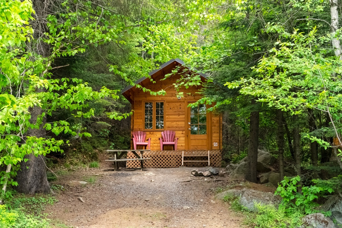 tiny cabin in the woods