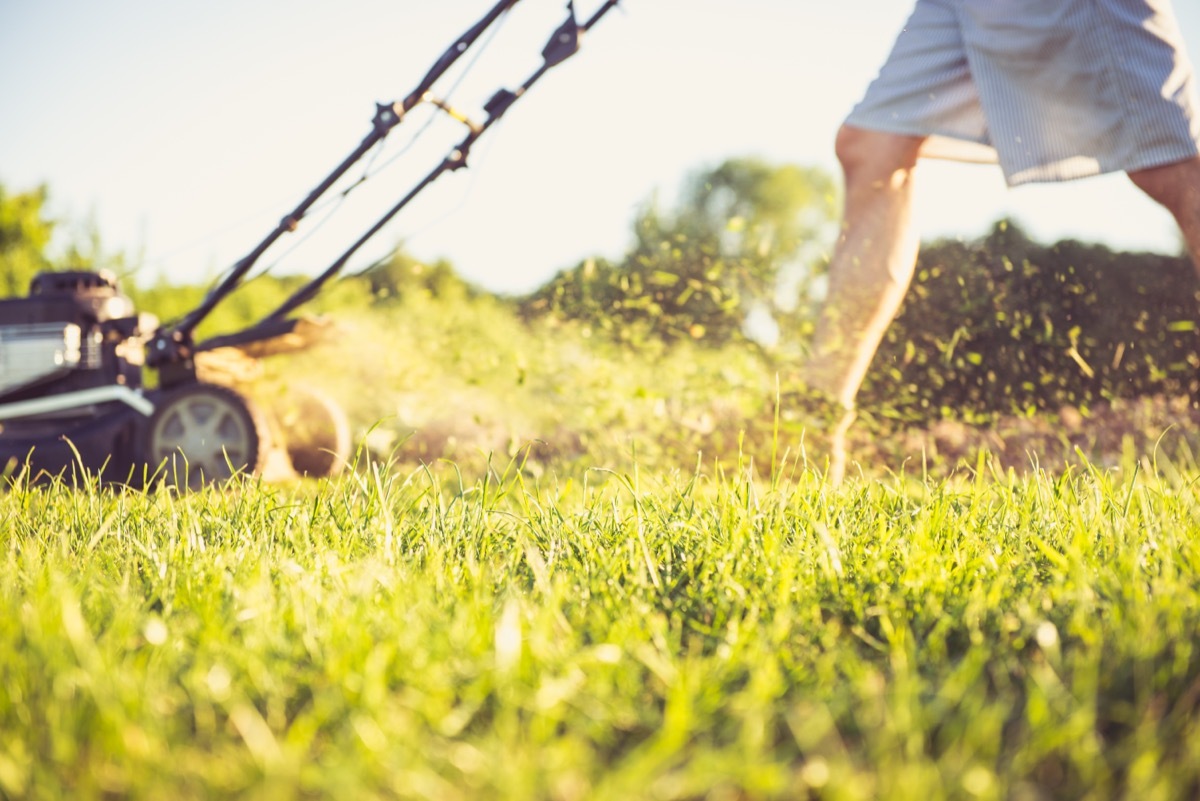 Photo of a young man mowing the grass during the beautiful evening.