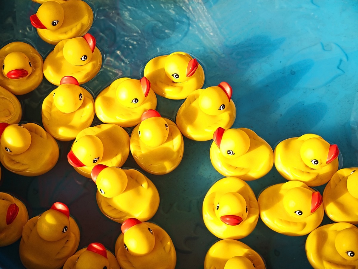 rubber ducks floating in water things you should clean every day