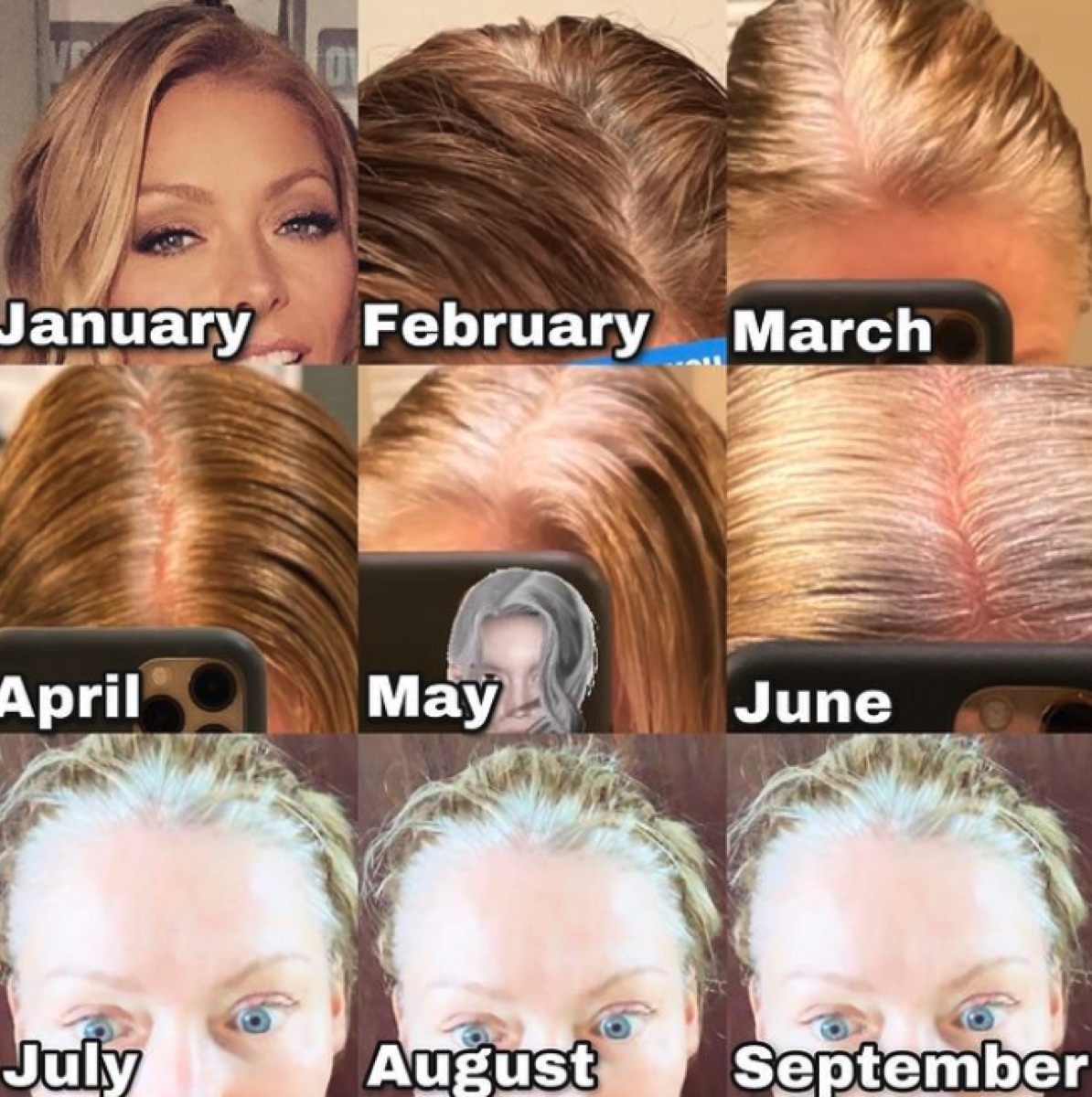 Kelly Ripa's hair progression