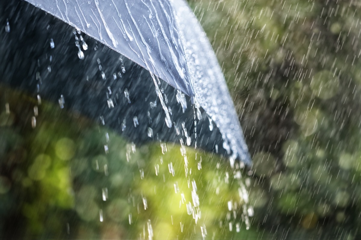 Umbrella in rain