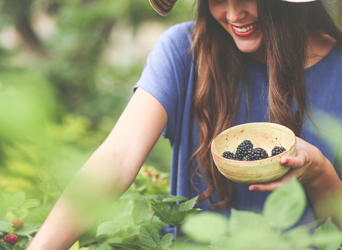 picking blackberries