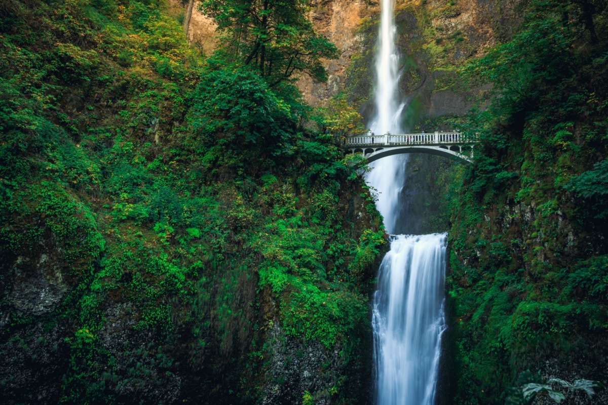 bridge crossing a waterfall in a lush forest