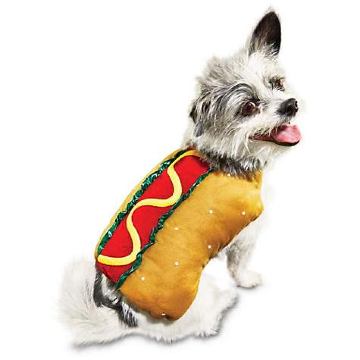 hot dog costume, dog halloween costumes