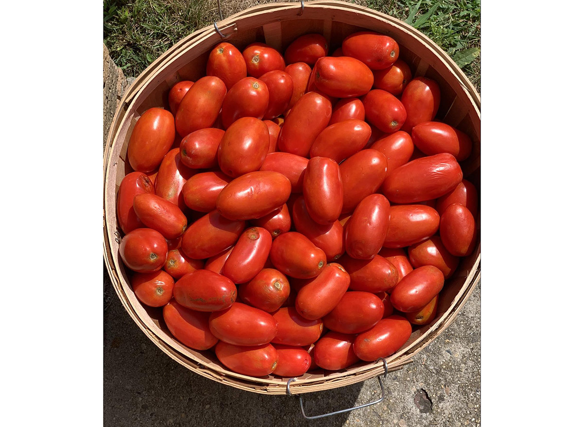 homemade sauce tomatoes