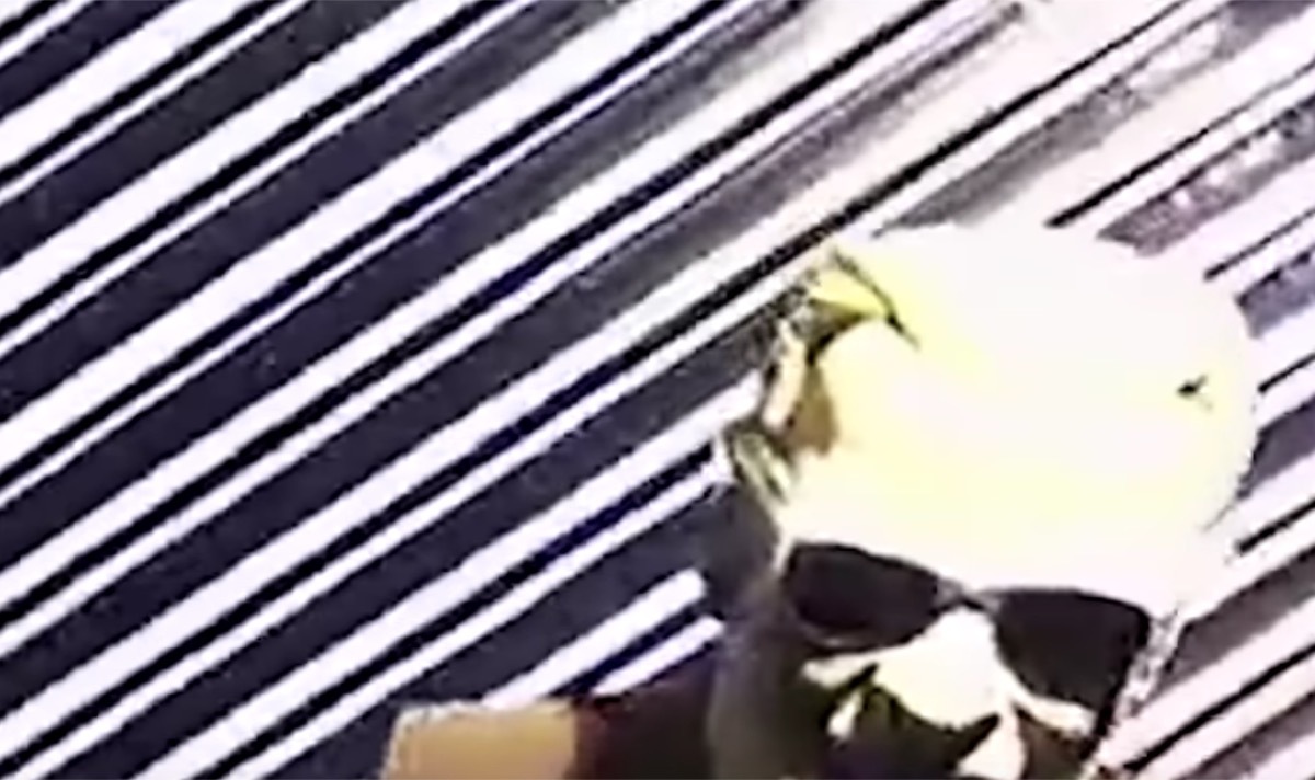 max headroom tv shows predicted the future