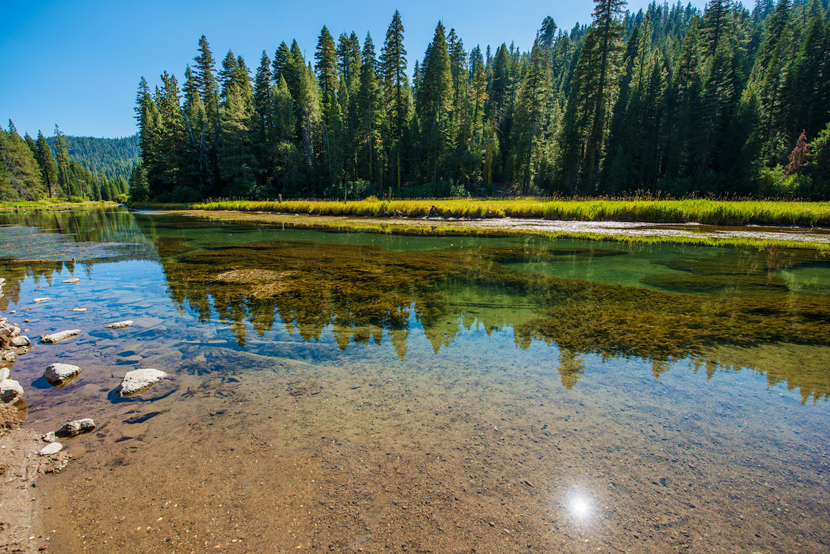 The Truckee River near Lake Tahoe, California. Evergreen trees line the water.