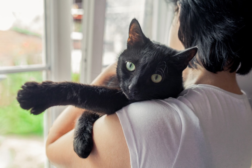 woman with her cat at home relaxing