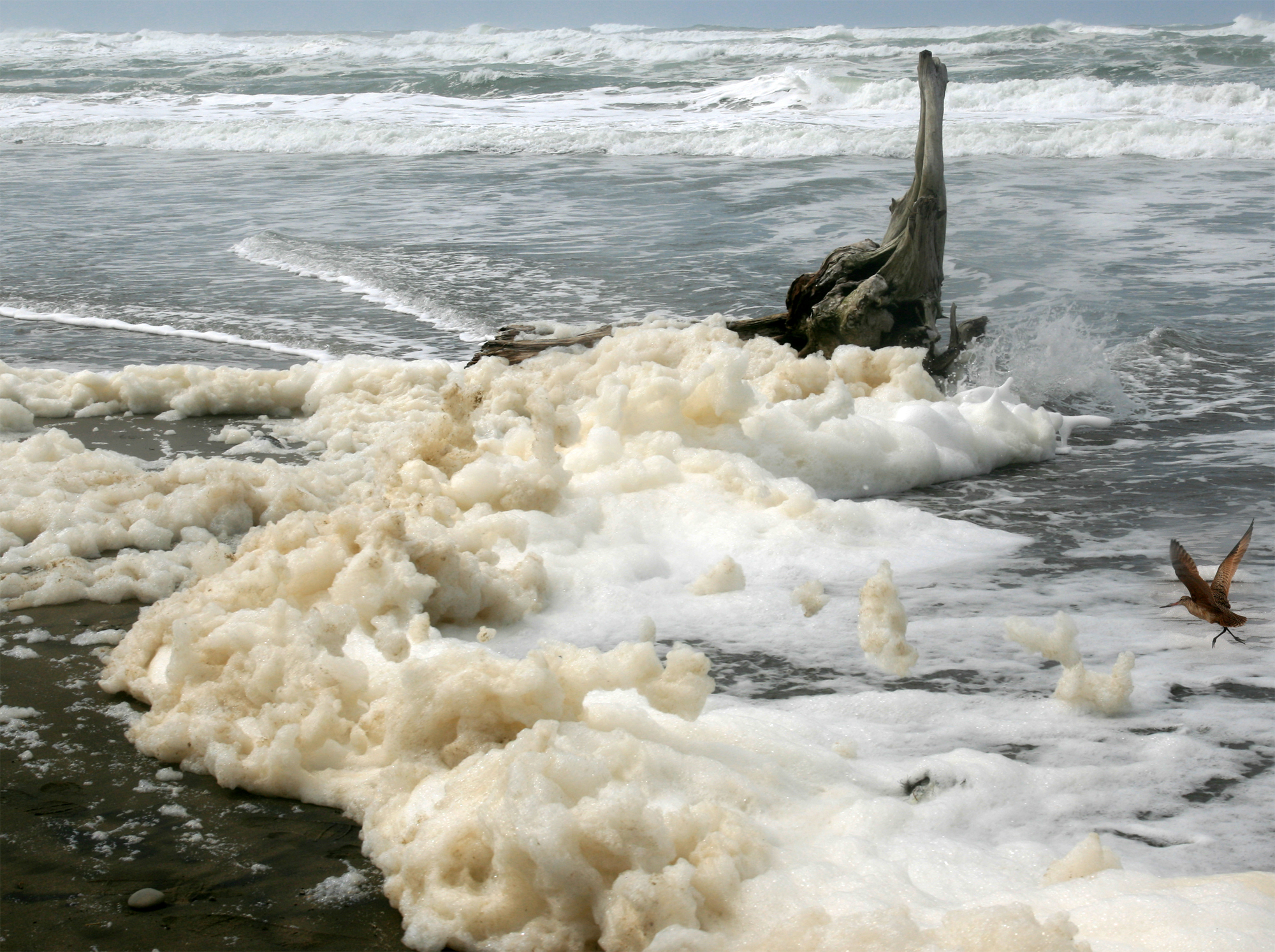 Image result for sea beach water rolls