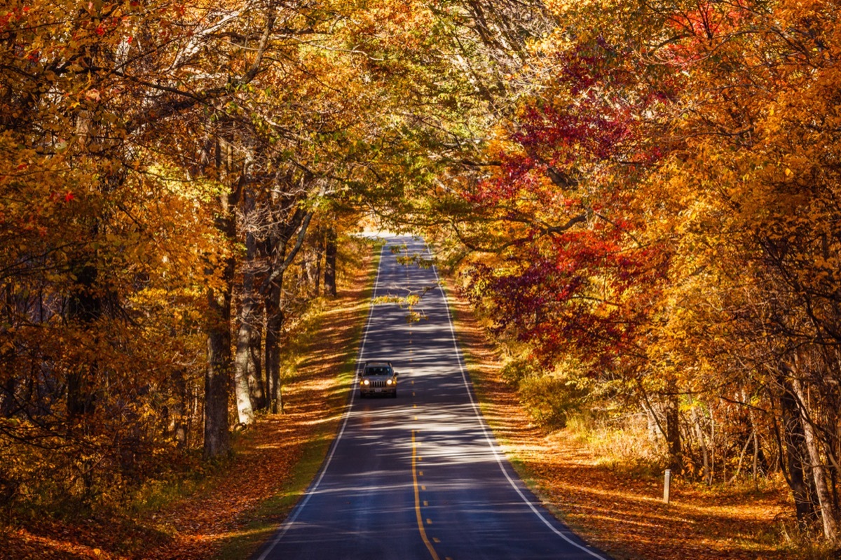 Shenandoah National Park