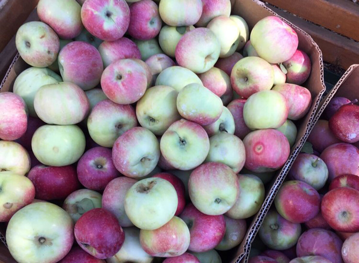 cider hill orchard kansas