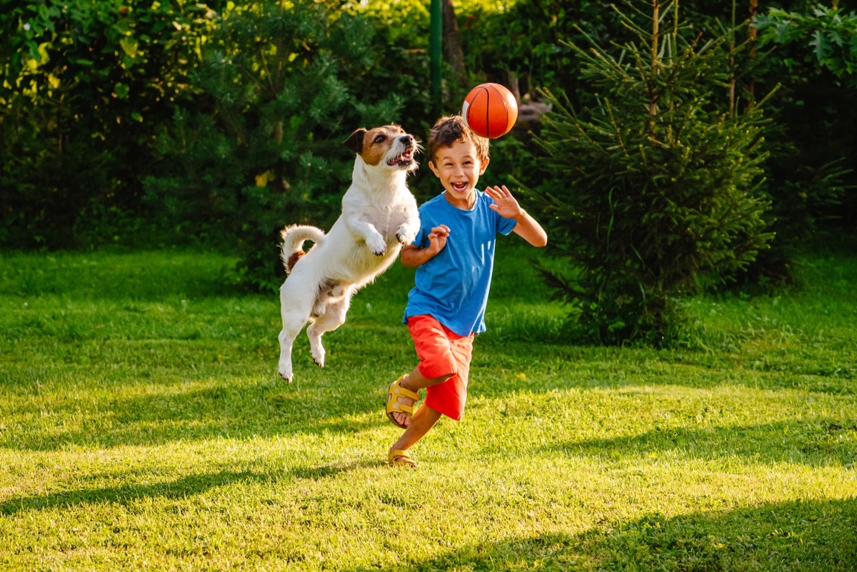 dog playing with child