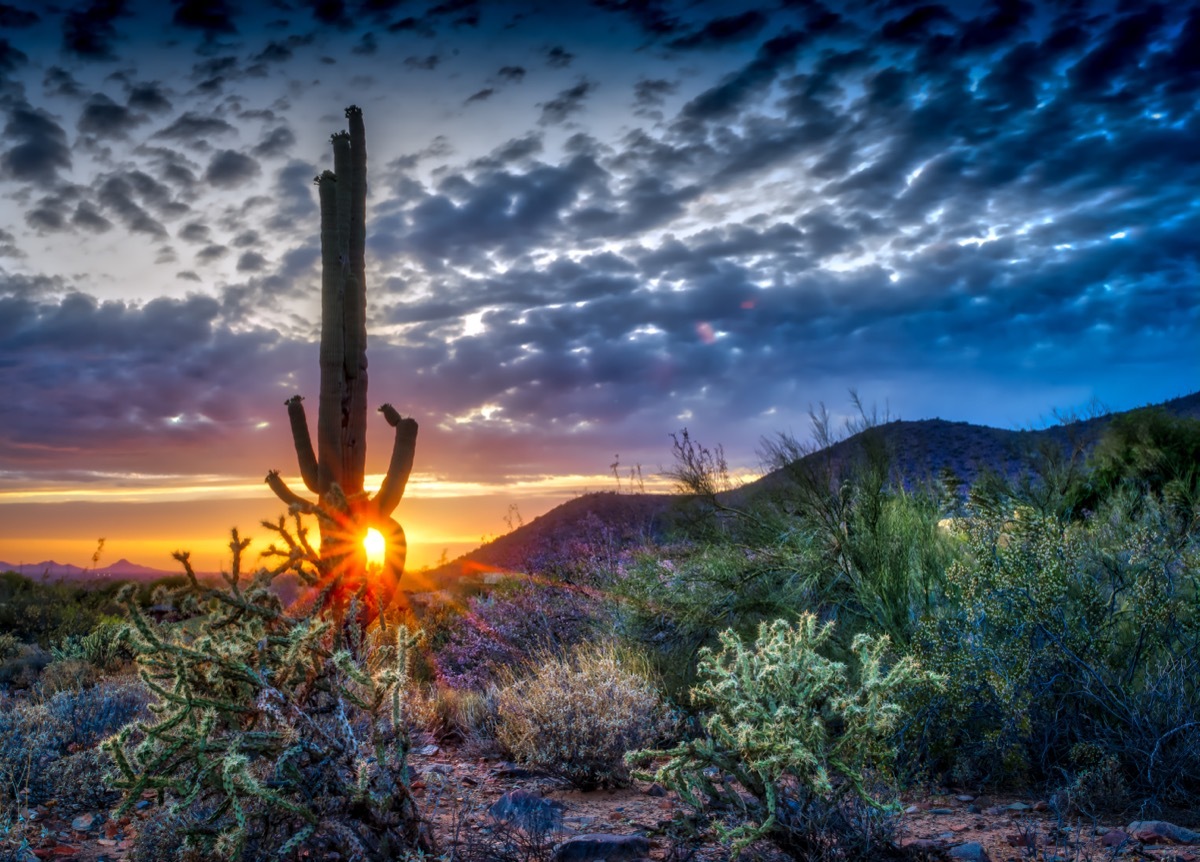 Scottsdale Arizona