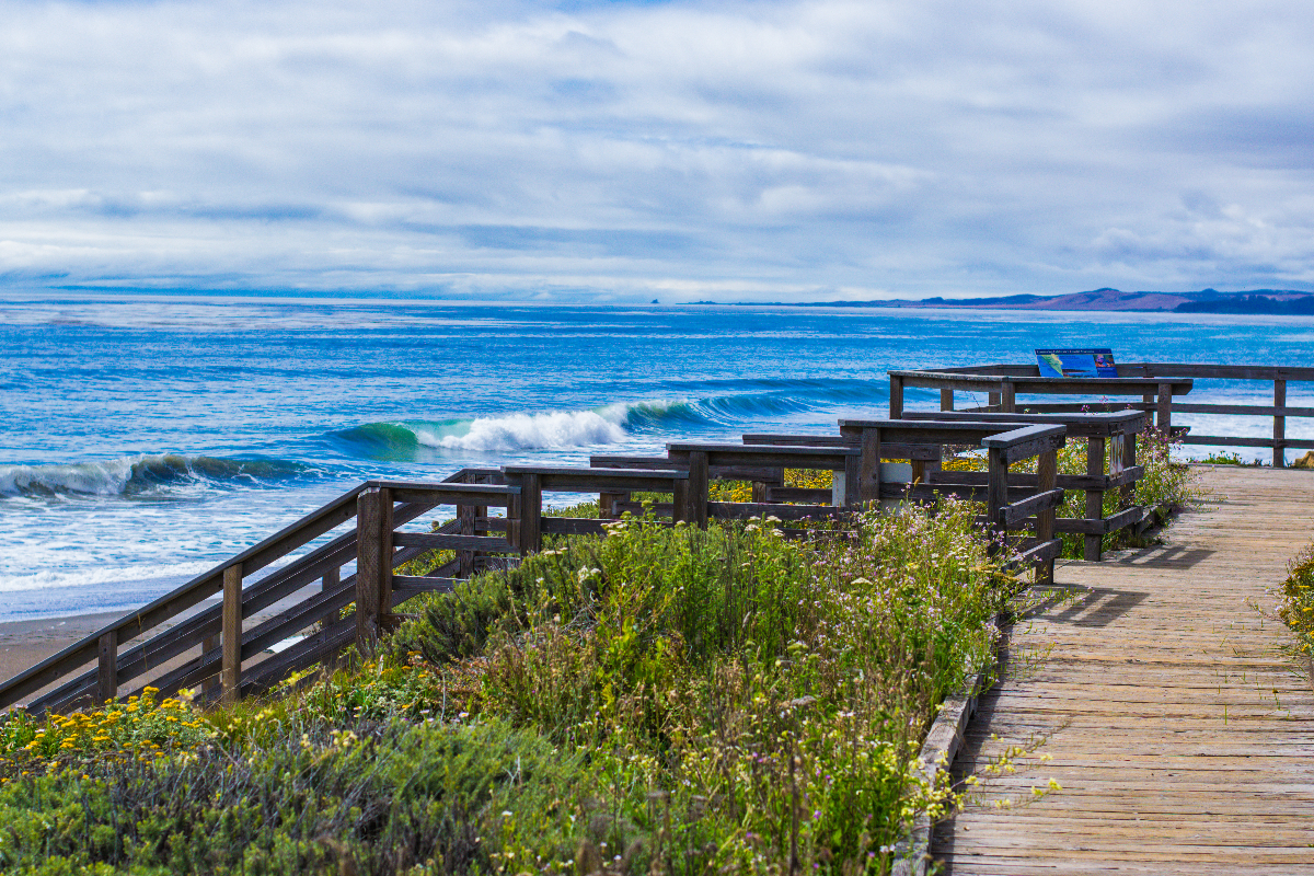 Cambria, California beach