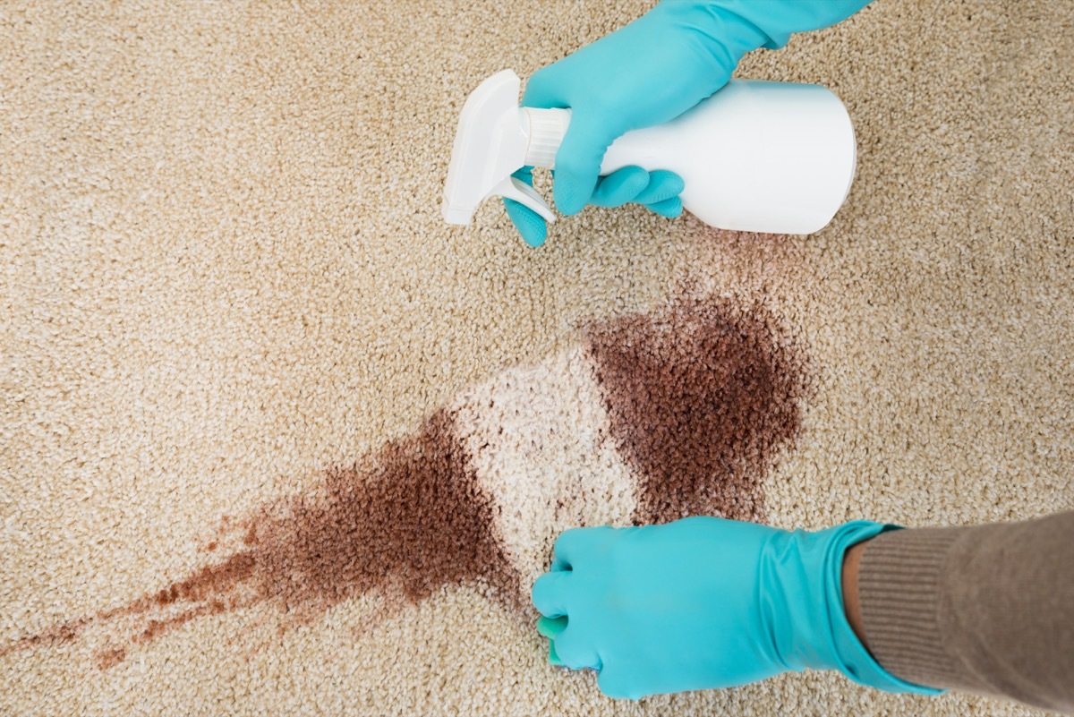 cleaning carpet