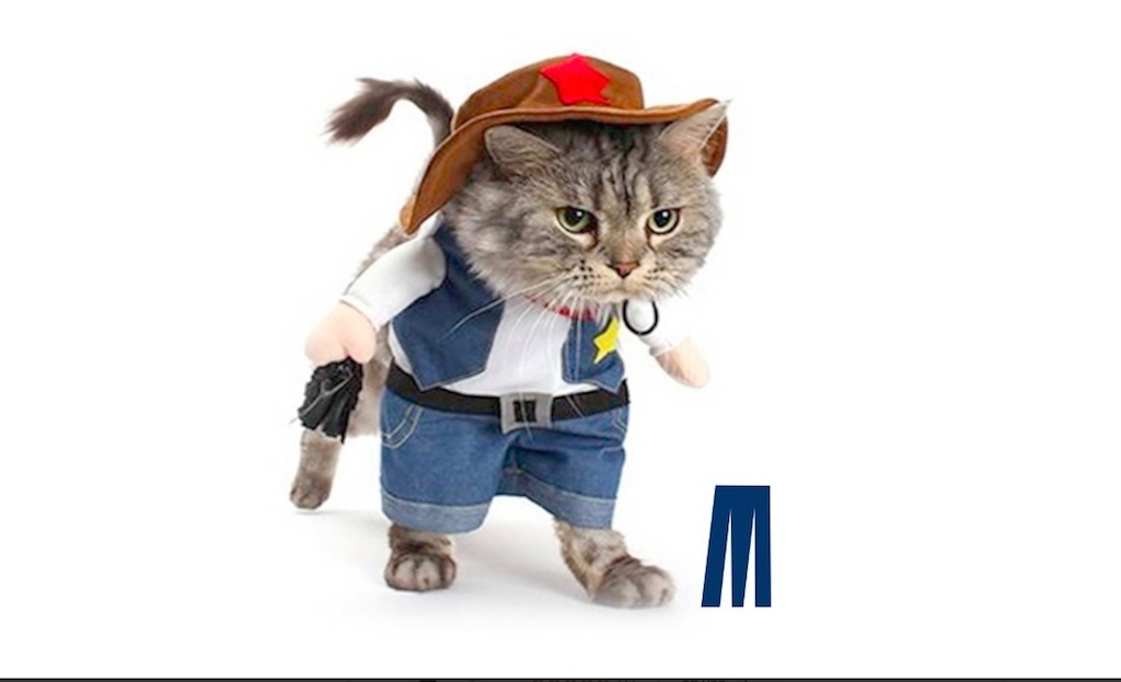 cat cowboy